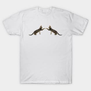 The Mirrored Cat T-Shirt